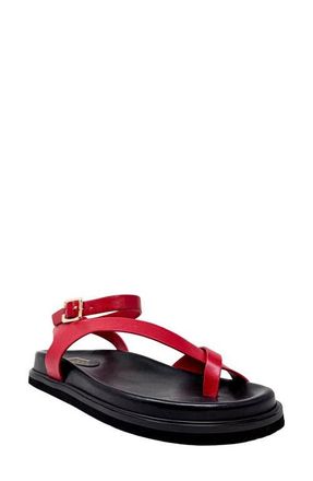 Shushop Berry Ankle Strap Sandal in Red at Nordstrom, Size 7.5