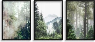 OEM P&oacute;sters 30x40 Para La Sala De La Oficina Cuadros En Marco Negro Para La Pared &Aacute;rboles Bosque