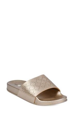 GaaHuu Perforated Slide Sandal in Gold at Nordstrom Rack, Size Medium