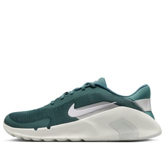Nike Flex Train Mineral Slate HV9972-302