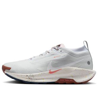 Nike Pegasus Trail 5 Gore-Tex Pure Platinum Pink Foam FQ0908-009