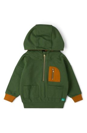 Little Green Radicals Kids Half Zip Organic Cotton Hoodie at Nordstrom, Size 12-18M