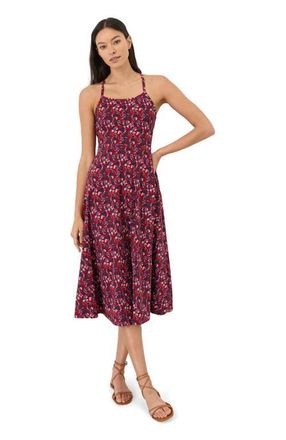 Pact Fit & Flare Midi Dress Made With Organic Cotton in Paradise Petals Poppy Red at Nordstrom, Size Xx-Large