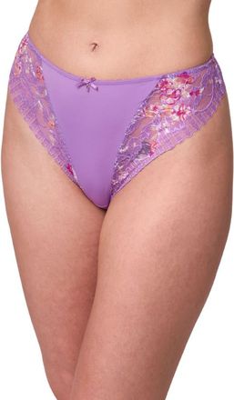 Montelle Intimates Lace & Microfiber Thong in Tulip/Tulip Field at Nordstrom, Size Xx-Large