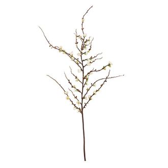 Ballard Designs Peach Blossom Stems - Set of 6 - White - Ballard Designs