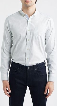 Johnston & Murphy Ovation Stripe Non-Iron Stretch Cotton Button-Up Shirt in Green Striped Oxford at Nordstrom, Size Xxx-Large