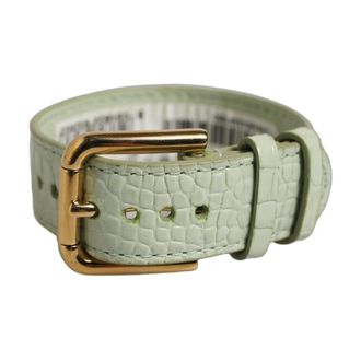 Dolce & Gabbana Embossed Leather Belt with Gold Buckle - Dames - Accessoires - Groen - Maat: ONE Size Leer