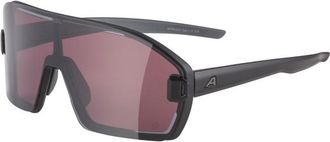 Alpina Bonfire Mag Q S1 + S3 Sonnenbrille - Unisex | grau