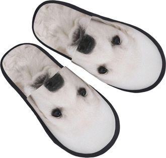 Generic Camping Slippers White Golden Retriever Unisex Hotel Slippers Non-Slip Indoor Shoes For Indoor Spa Women M