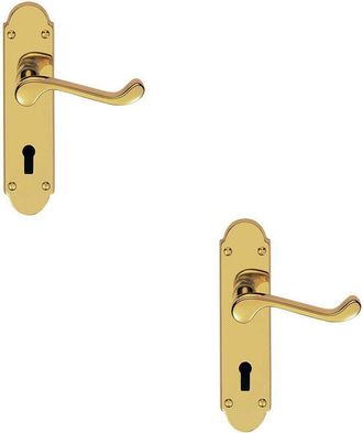 Loops 2x PAIR Victorian Upturned Handle on Lock Backplate 170 x 42mm Stainless Brass