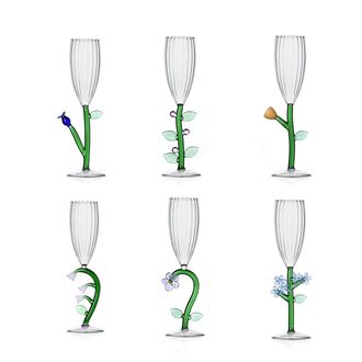 Ichendorf Botanica Set 6 Pcs Optical Flute