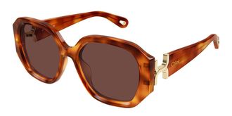 Chlo&eacute; CH0236S Asian Fit 006 Womens Sunglasses Tortoiseshell Size 56