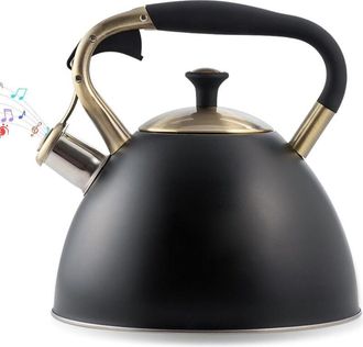 OEM Hervidor De Acero Inoxidable De 3 Litros Con Funci&oacute;n De Inducci&oacute;n Y Silbato Autom&aacute;tico: Dise&ntilde;o Retro Para T&eacute; Y Caf&eacute;