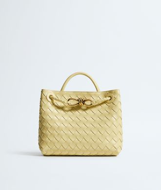 Bottega Veneta Small Andiamo - Bottega Veneta