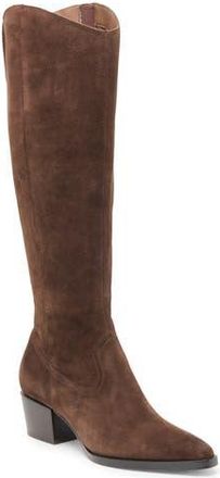 Dolce Vita Virona Water Resistant Boot in Dark Brown Suede H2O at Nordstrom Rack, Size 6.5 Regular Calf