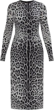Dolce & Gabbana Animal Printed Midi Dress