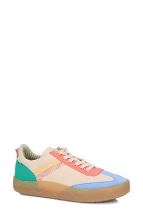 Ros Hommerson Stella Sneaker in Bright Multi Knit at Nordstrom, Size 7.5