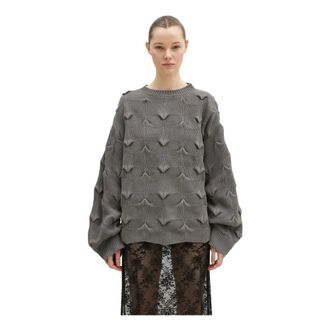 A.A. Spectrum A.a. Spectrum, Truien & Vesten, Dames, Grijs, L, Katoen, Wyverne Sweater