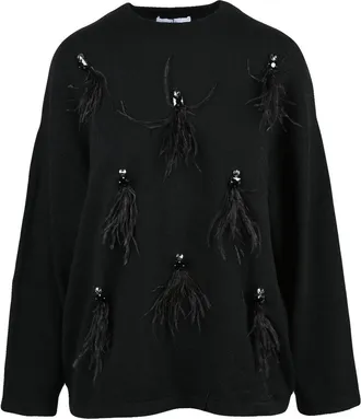 Isabelle Blanche Crew Neck Knit With Stone And Feather Details