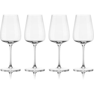 Fable Home Wine Glasses PRO in Clear at Nordstrom, Size Medium