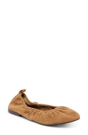Dolce Vita Conrad Ballet Flat in Light Brown Suede at Nordstrom, Size 6.5