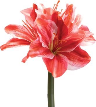 Melrose International Amaryllis Flower Stem (Set of 6) - Red, Pink
