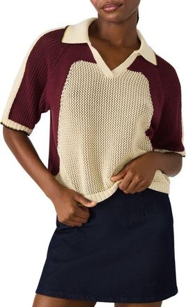 Steve Madden Axon Open Stitch Polo Sweater in Ivory Multi at Nordstrom, Size Xx-Large