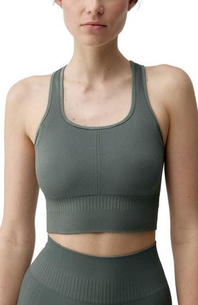 Born Living Yoga Eris Medium-Support Performance Sports Top in Tea at Nordstrom, Size Small