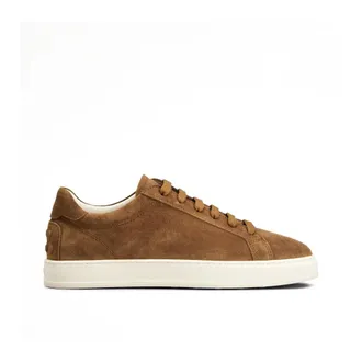 Tod's Tods, Sneakers, male, Brown, Size: 11 US Suede Sneakers