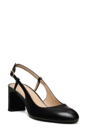Stuart Weitzman Babette Slingback Pump in Black at Nordstrom Rack, Size 10.5