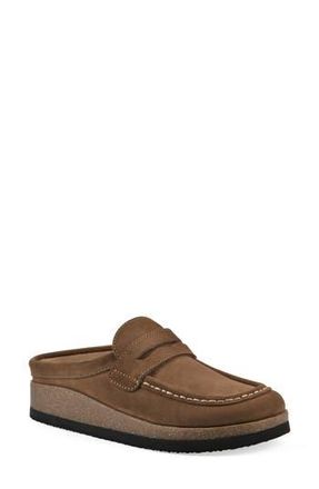 White Mountain Brinlee Clog in Chestnut Suede at Nordstrom Rack, Size 12