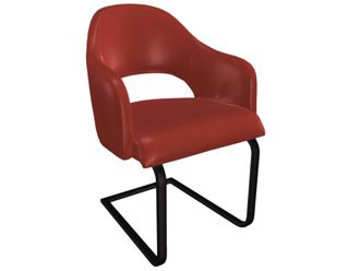 Schubiger M&ouml;bel Freischwinger Salesa