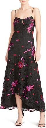 Monique Lhuillier Sleeveless Embroidered Lace A-Line Dress in Black Multi at Nordstrom, Size 6