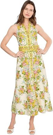 Adrianna Papell Printed Cotton Maxi Womens Dress Pale Yellow : 14