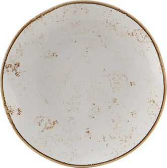 Tuxton Artisan Geode Plate 9, 24 Pieces