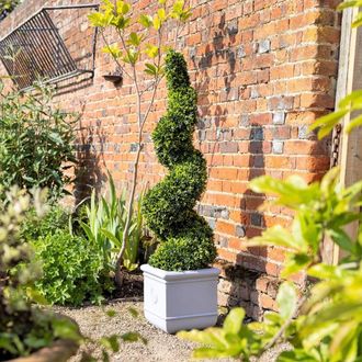 PRIMROSE Artificial Topiary Grass Spiral Swirl Bush 150cm in Green