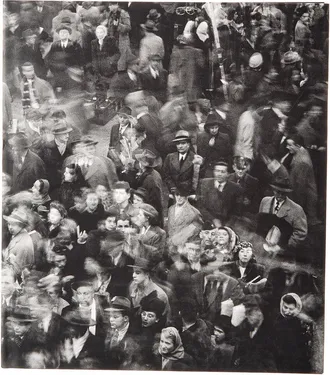 ASSOULINE Paul Himmel: Photographs by Assouline