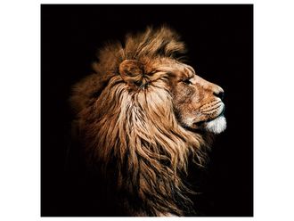 Schubiger M&ouml;bel Digitaldruck auf Glas K&ouml;nig Der L&ouml;wen im Profil