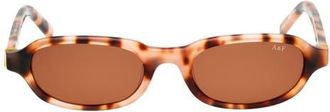 Abercrombie & Fitch 50mm Oval Sunglasses in Coloured Havana /Brown at Nordstrom