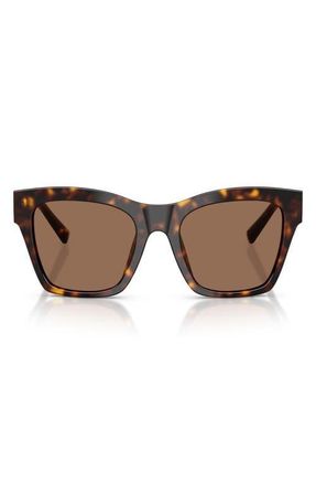 Dolce & Gabbana 53mm Square Sunglasses in Havana /Dark Brown at Nordstrom