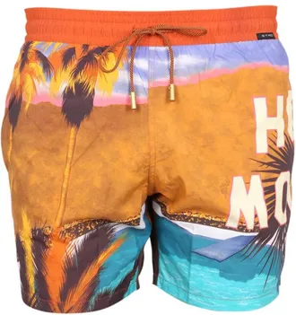 Etro Multicolor Printed Swim Shorts
