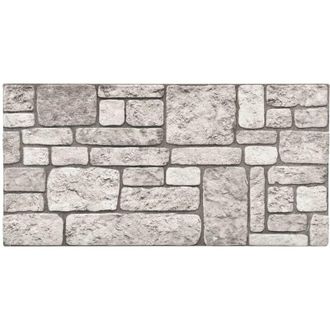vidaXL Paneles De Pared 10 Pcs Gris 100 X 50 Cm Espuma Eps Vidaxl
