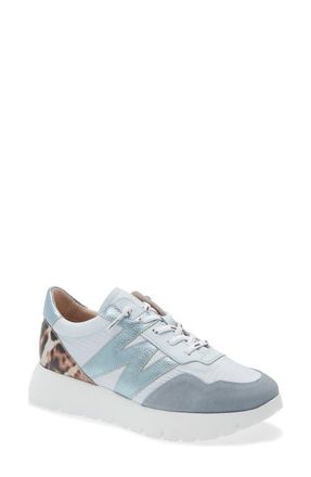 Wonders Lace-Up Platform Sneaker in Aura/Aura at Nordstrom, Size 9.5-10Us