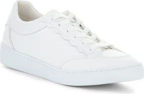 Bos. & Co. Myra Platform Sneaker in White at Nordstrom Rack, Size 10-10.5Us / 41Eu