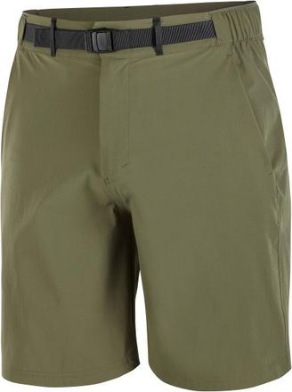Salomon Wayfarer 2.0 Shorts Shorts f&uuml;r Herren | oliv