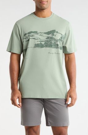 Tommy Bahama Vacation Visions Cotton Graphic T-Shirt in Oxidize Metal at Nordstrom, Size Small