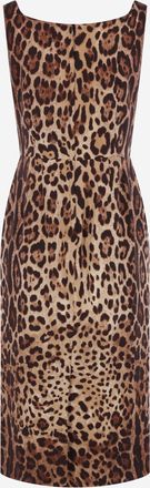 Dolce & Gabbana Womens Dress Stretch Silk With Animal Print Multicolour