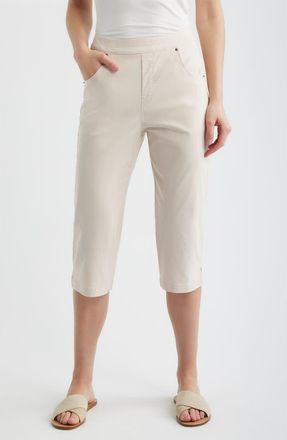 Hue Spring Stripe Petal Pusher Capri Pants in Taupe at Nordstrom, Size X-Large