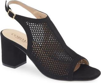 Cordani Illia Ankle Strap Sandal in Black Suede at Nordstrom, Size 6.5Us