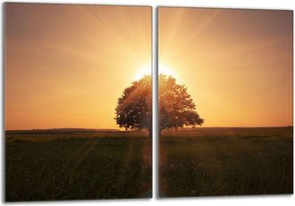 OEM Placa Protectora De Vidrio Para Estufa 2x40x52 &Aacute;rbol